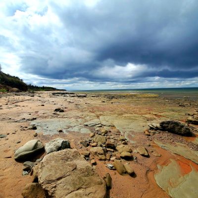 Stormy Summer Day by Anna LeBlanc